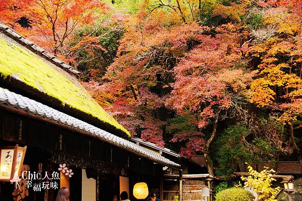 嵯峨鳥居本 (82)