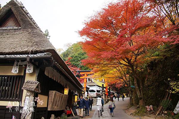 嵯峨鳥居本 (95)