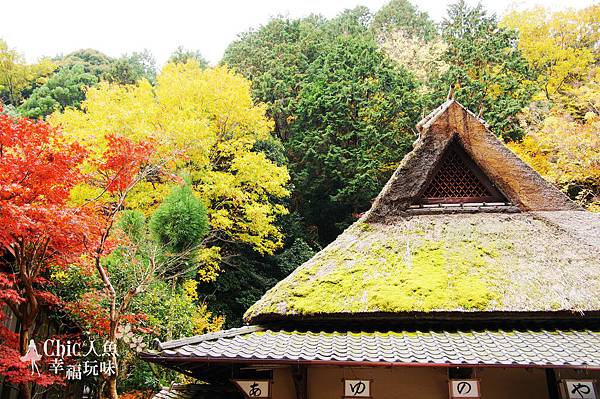 嵯峨鳥居本 (99)