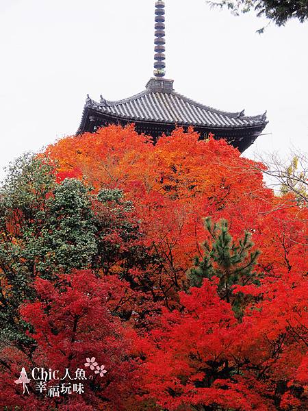 極樂寺真如堂 (15)