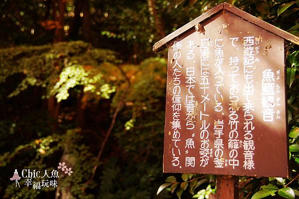 勝持寺-花寺 (36)