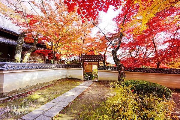 勝持寺-花寺 (55)