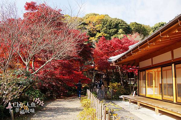 勝持寺-花寺 (84)