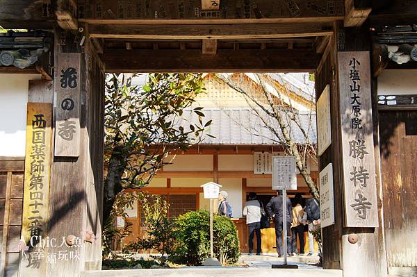 勝持寺-花寺 (88)