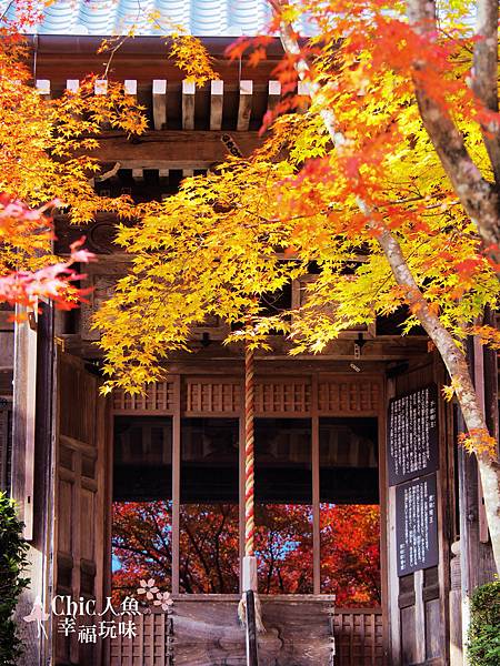 勝持寺-花寺 (91)