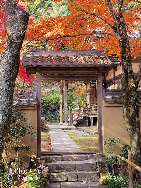 勝持寺-花寺 (93)