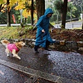 比沙門堂2012雨楓 (91)