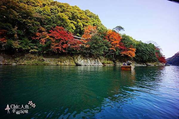 嵐山嵐峽尾形船桂川紅葉狩 (124)