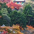 嵐山嵐峽尾形船桂川紅葉狩 (128)