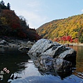 嵐山嵐峽尾形船桂川紅葉狩 (139)