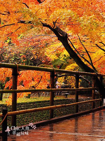 Kyoto 京都紅葉狩 京都必訪33紅葉穴場名所制霸攻略 中 洛中x洛東 旅行吧 Chic人魚の幸福玩味 隨意窩xuite日誌 Kyoto 京都紅葉狩 京都必訪33紅葉穴場名所制霸攻略 中 洛中x洛東 旅行吧 Chic人魚の幸福玩味 隨意窩xuite日誌