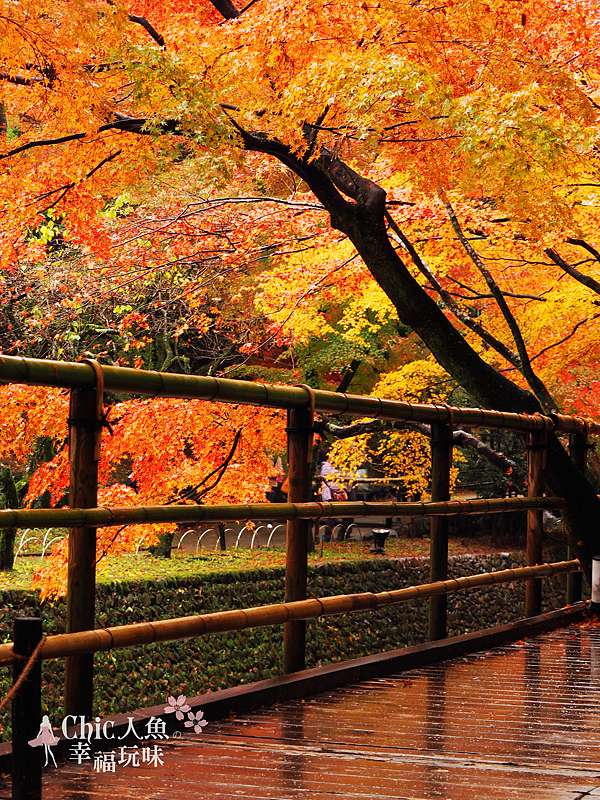 Kyoto 京都紅葉狩 京都必訪33紅葉穴場名所制霸攻略 中 洛中x洛東 Chic人魚の幸福玩味 痞客邦 Kyoto 京都紅葉狩 京都必訪33紅葉穴場名所制霸攻略 中 洛中x洛東 Chic人魚の幸福玩味 痞客邦