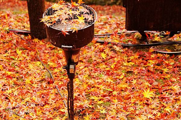 Kyoto 京都紅葉狩 京都必訪33紅葉穴場名所制霸攻略 中 洛中x洛東 旅行吧 Chic人魚の幸福玩味 隨意窩xuite日誌 Kyoto 京都紅葉狩 京都必訪33紅葉穴場名所制霸攻略 中 洛中x洛東 旅行吧 Chic人魚の幸福玩味 隨意窩xuite日誌