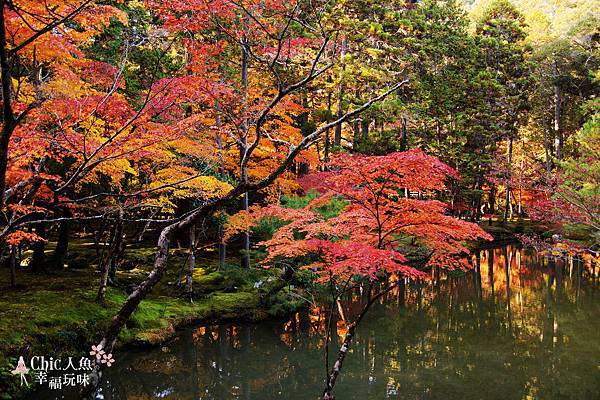 京都西芳寺-苔寺 (291)