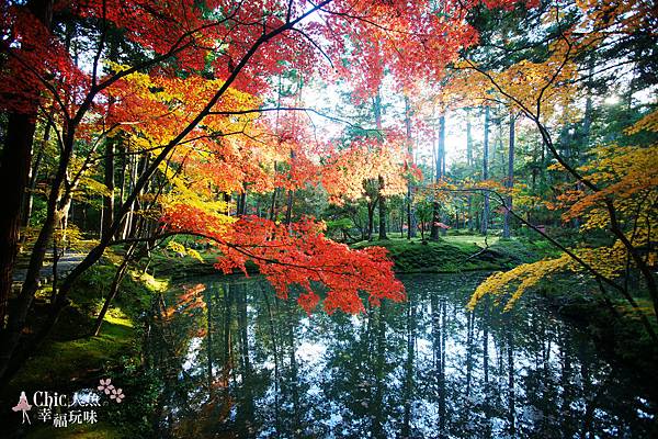 京都西芳寺-苔寺 (390)