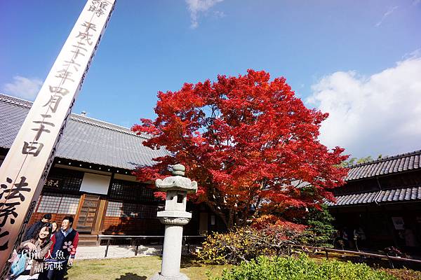 京都鷹峰源光庵2014悟之窗 (54) - 複製