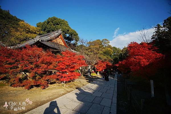 Kyoto 京都紅葉狩 京都必訪33紅葉穴場名所制霸攻略 上 洛北 旅行吧 Chic人魚の幸福玩味 隨意窩xuite日誌 Kyoto 京都紅葉狩 京都必訪33紅葉穴場名所制霸攻略 上 洛北 旅行吧 Chic人魚の幸福玩味 隨意窩xuite日誌