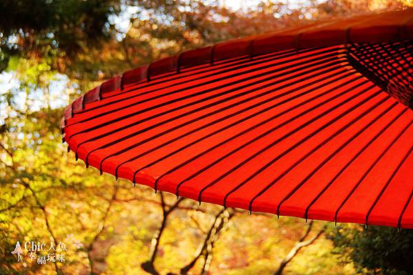 Kyoto 京都紅葉狩 京都必訪33紅葉穴場名所制霸攻略 上 洛北 旅行吧 Chic人魚の幸福玩味 隨意窩xuite日誌 Kyoto 京都紅葉狩 京都必訪33紅葉穴場名所制霸攻略 上 洛北 旅行吧 Chic人魚の幸福玩味 隨意窩xuite日誌