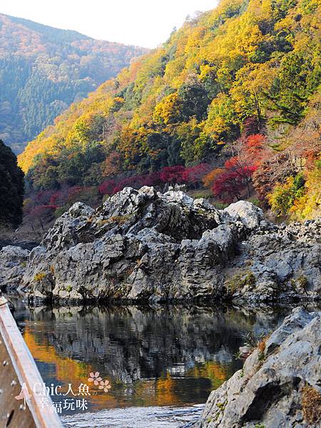 嵐山嵐峽尾形船桂川紅葉狩 (20)