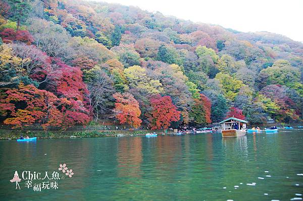 嵐山嵐峽尾形船桂川紅葉狩 (168)