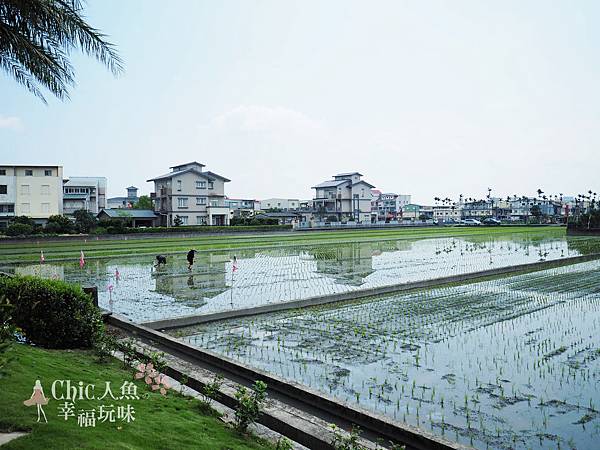 調色盤築夢會館-戶外建築篇 (52)