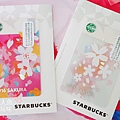 SAKURA STARBUCKS櫻花杯 (6)