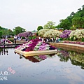 足利公園紫藤雨 (163)