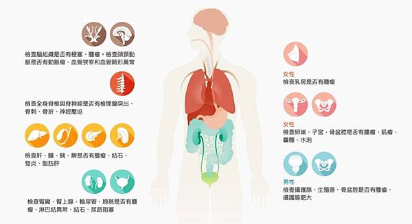 MRI檢測部位圖