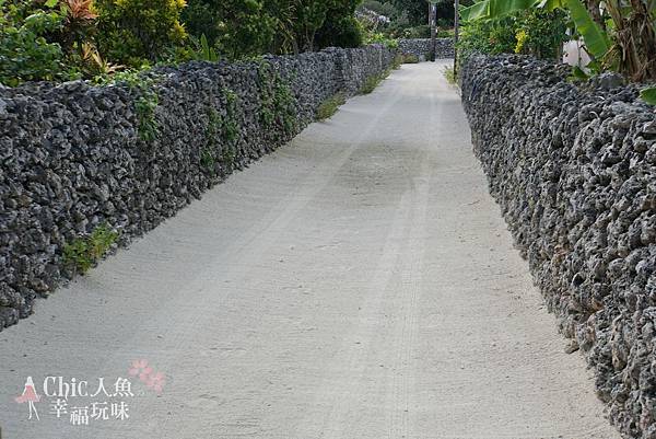 竹富島水牛車觀光 (43)