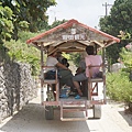 竹富島水牛車觀光 (92)