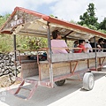 竹富島水牛車觀光 (94)