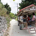 竹富島水牛車觀光 (97)