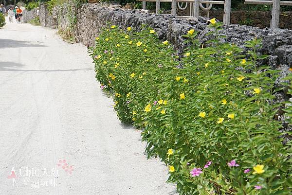 竹富島水牛車觀光 (105)