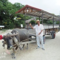 竹富島水牛車觀光-HOSHINOYA (75)