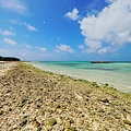 竹富島星砂濱-皆治海灘 (59)