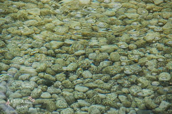 秋田名湯-乳頭溫泉鄉秘湯-鶴の湯 (116).jpg