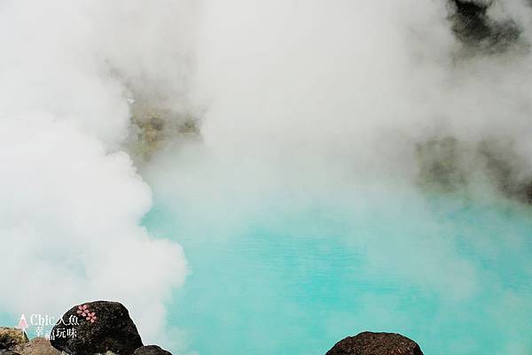 別府溫泉-海地獄 (22).jpg