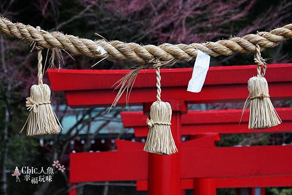 別府溫泉-海地獄 (30).jpg