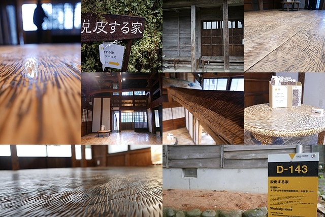 大地藝術祭-脫皮之家.jpg - JR東日本上信越之旅。新潟。十日町越後妻有大地藝術祭