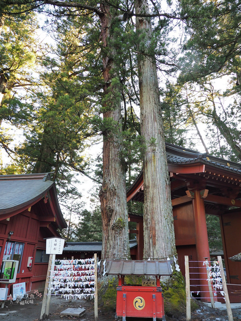 日光-二荒山神社 (17).jpg - 日光旅。日光東照宮