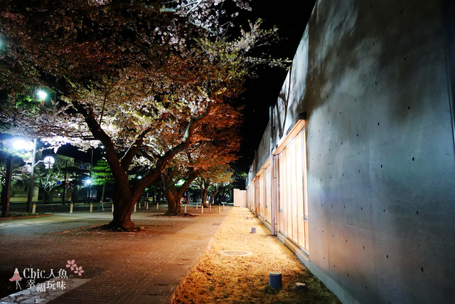 安藤忠雄-十和田市圖書館 (15).JPG - 東北。青森。十和田美術館