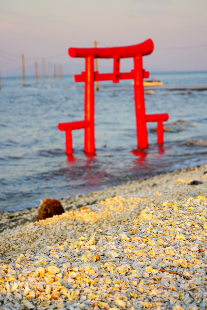 佐賀大魚神社海上鳥居 (66).jpg - 佐賀旅色。太良町－大魚神社海上鳥居