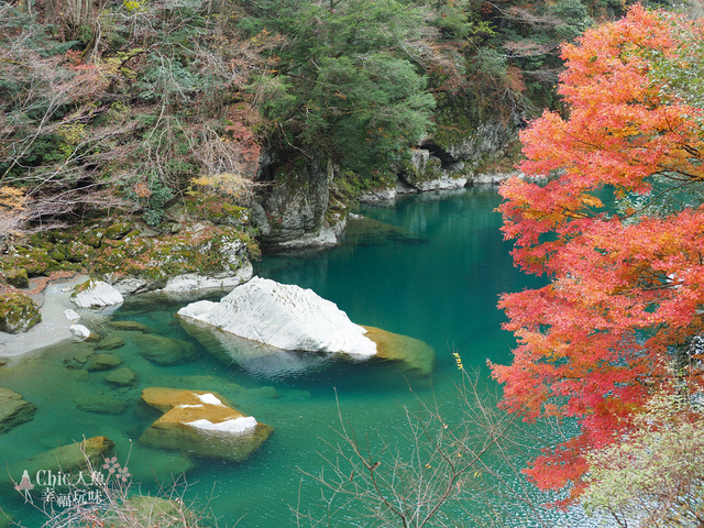 祖谷溪落合集落 (3).jpg - 帶泰國小姐遊四國。德島－香川。四國正中千年物語列車