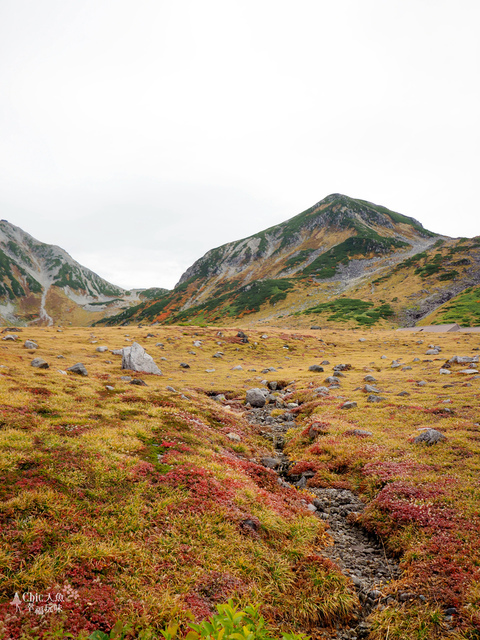 立山-4-室堂平 (24).jpg - 富山県。立山黑部