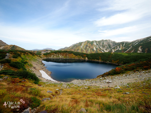 立山-4-室堂平 (31).jpg - 富山県。立山黑部