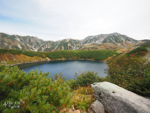 立山-4-室堂平 (50).jpg - 富山県。立山黑部