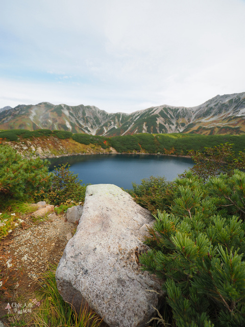 立山-4-室堂平 (51).jpg - 富山県。立山黑部