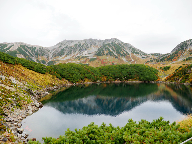 立山-4-室堂平 (88).jpg - 富山県。立山黑部