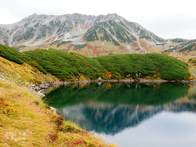 立山-4-室堂平 (104).jpg - 富山県。立山黑部