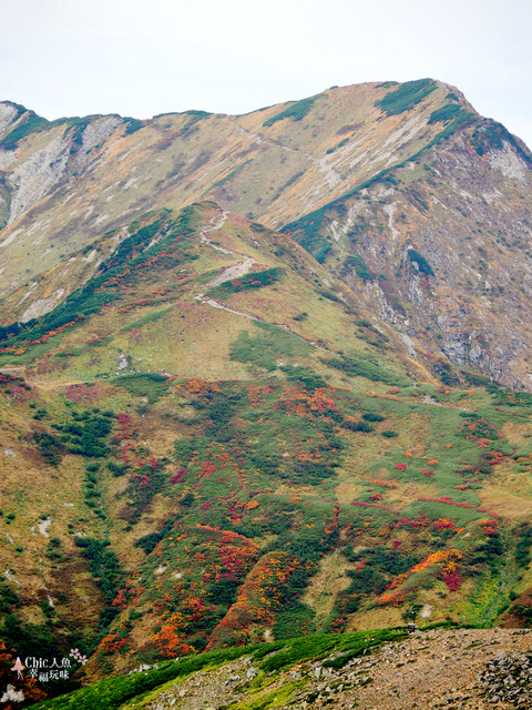 立山-4-室堂平 (134).jpg - 富山県。立山黑部